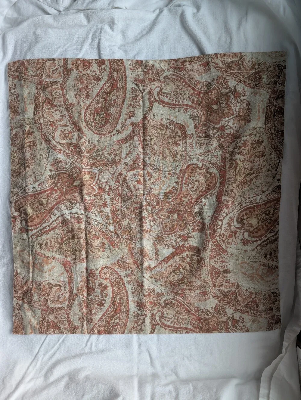 Pottery Barn Paisley Linen Blend Brown Cream Euro Pillow Covers - 2
